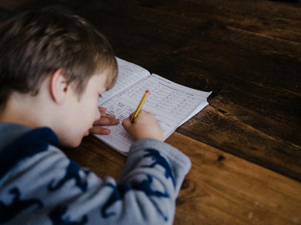 Le soutien scolaire à domicile